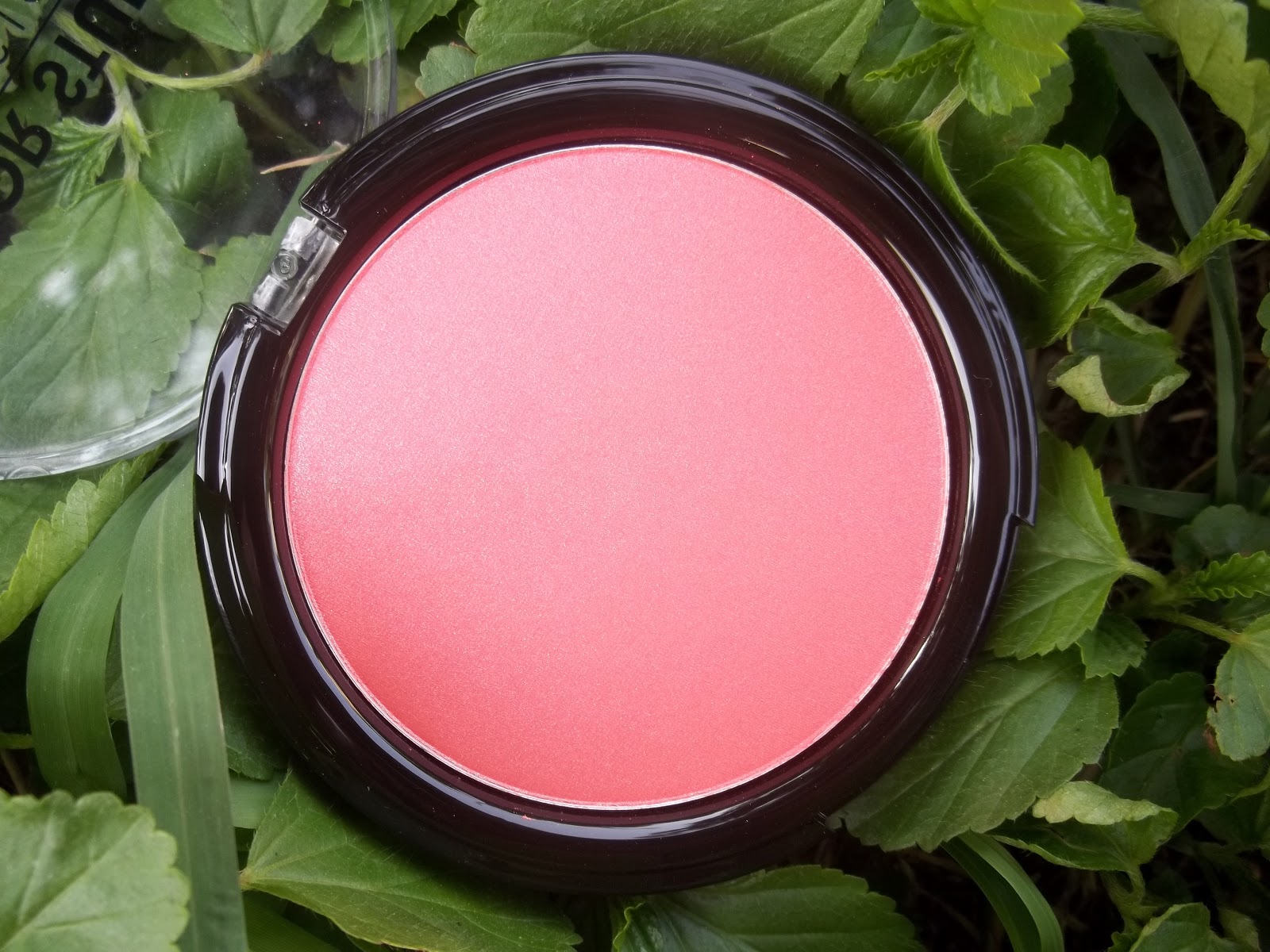 ReviewColor Studio Professional Blush Nayab Loves