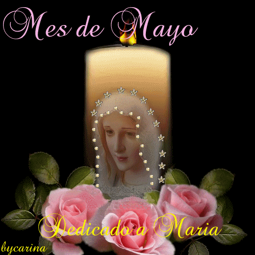 Resultado de imagen para gif primera rosa de mayo