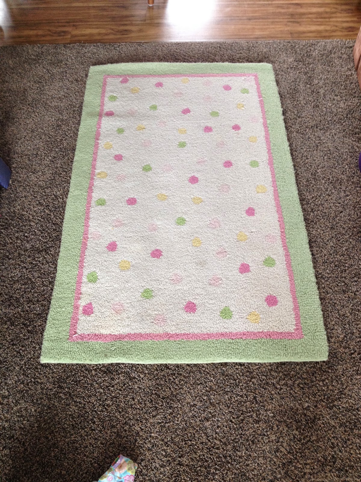 Great Items For Sale Pottery Barn Rug 15