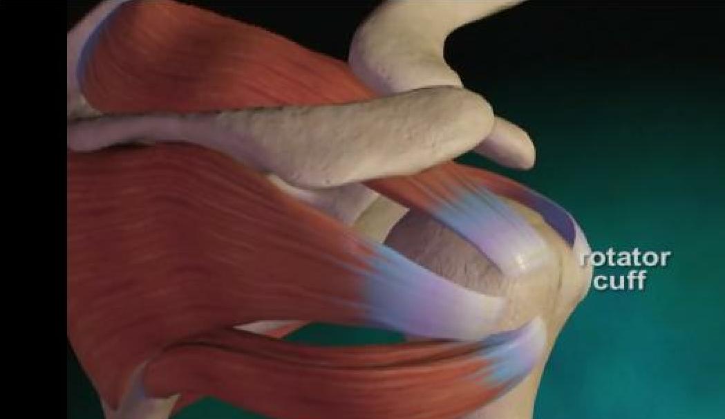 Реалистичный Вибратор С Поступательными Движениями