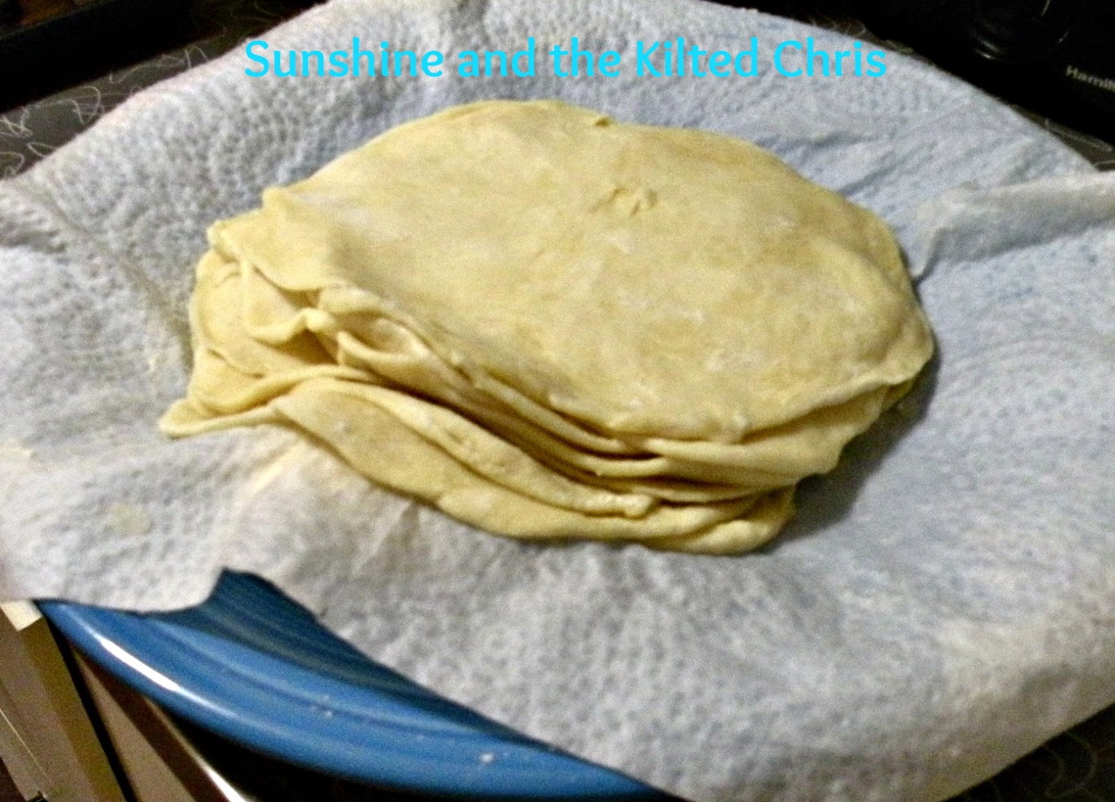 Sunshine and the Kilted Chris Homemade Flour Tortilla Shells
