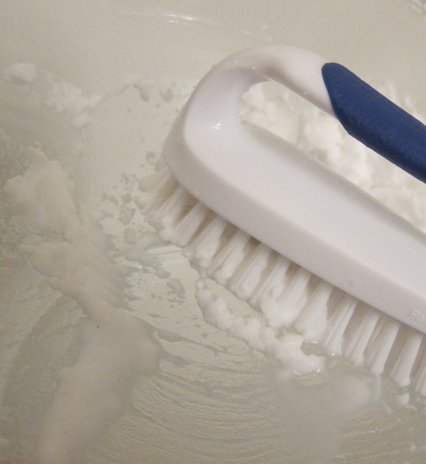 My Life Via Pinterest: Martha Stewart's Tub Scrub