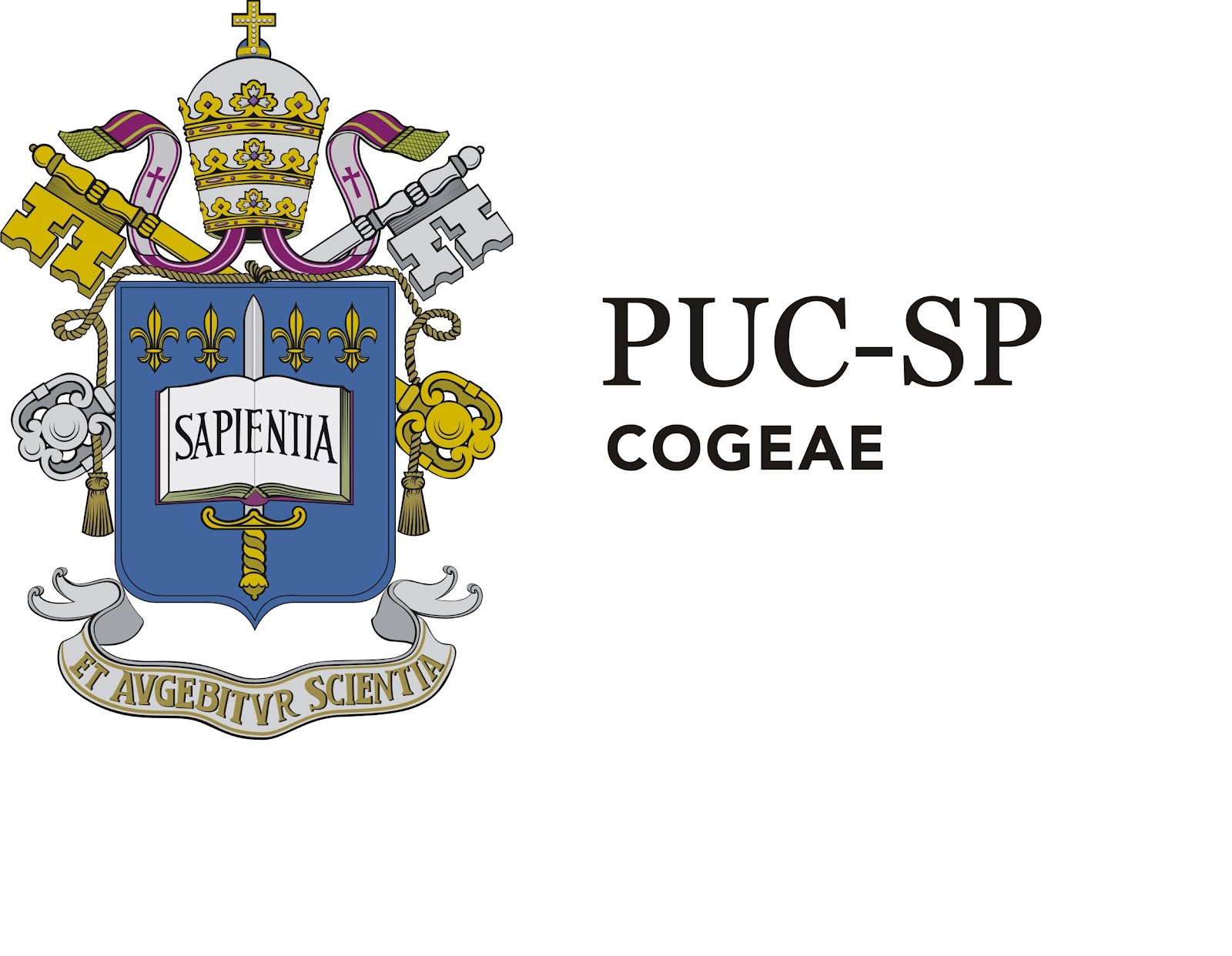 Logo Puc