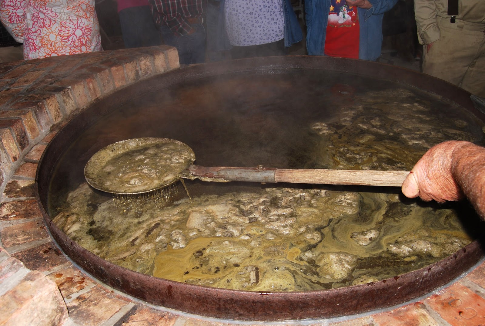 Helen A. Lockey Florida Sugar Cane Syrup Making From Field To Bottle