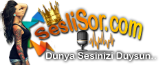 NeSesli Logo