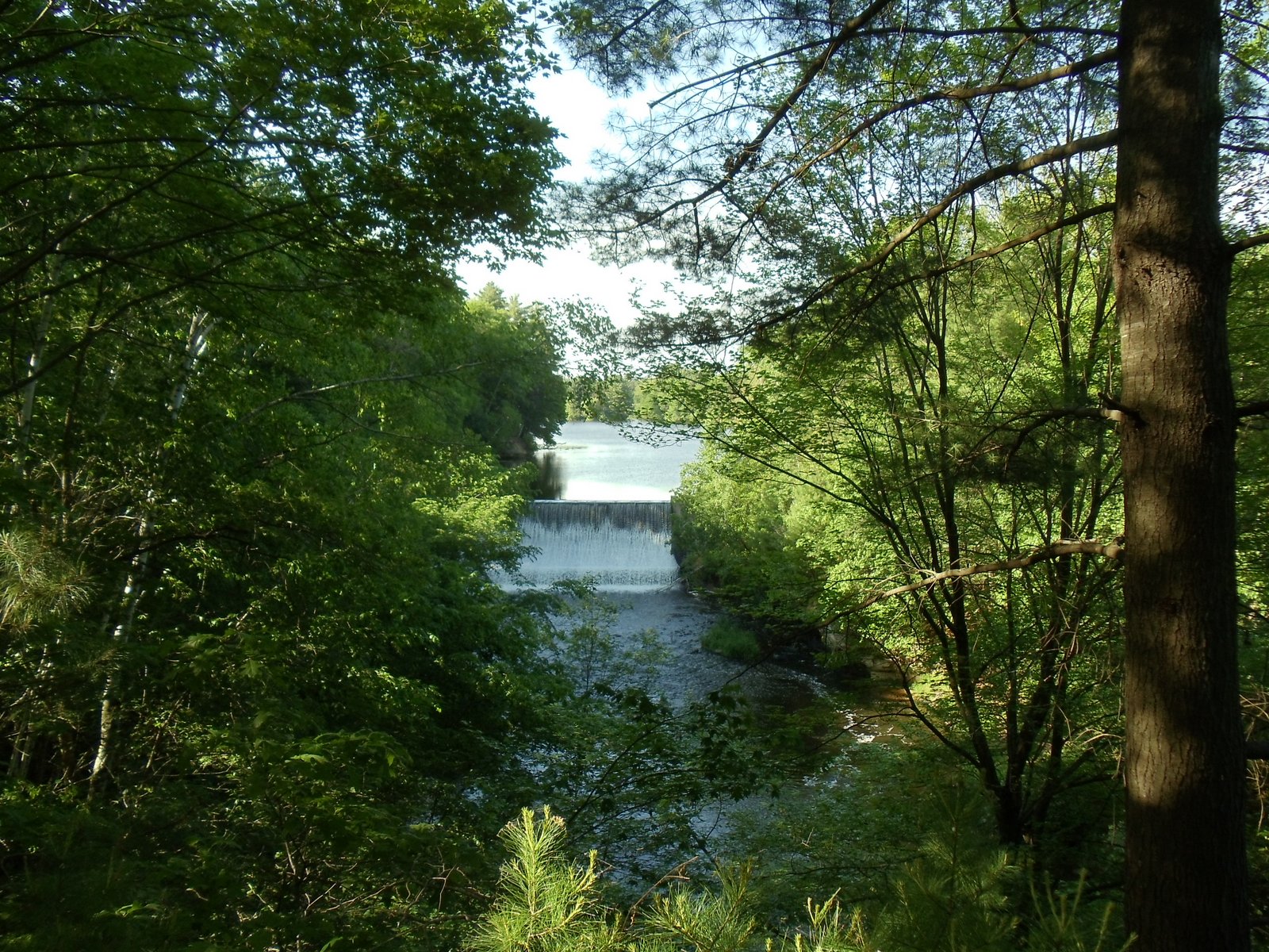 Al and Pat Petri Chippewa Falls