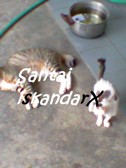 iskandarx.blogspot.com, Faizal tengah rehat serta minum air da, santai, Faizal, Jupiter, Pluto, Charlicaplin, Neptune, Naili, Laili, Laila, Solehah, Puteh