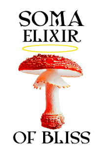 dreamworks from kovai to kodai via goa and rest of the world dreamworks blogger