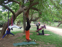 yoga aereo