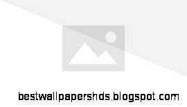 Snow White character   Disney Wiki