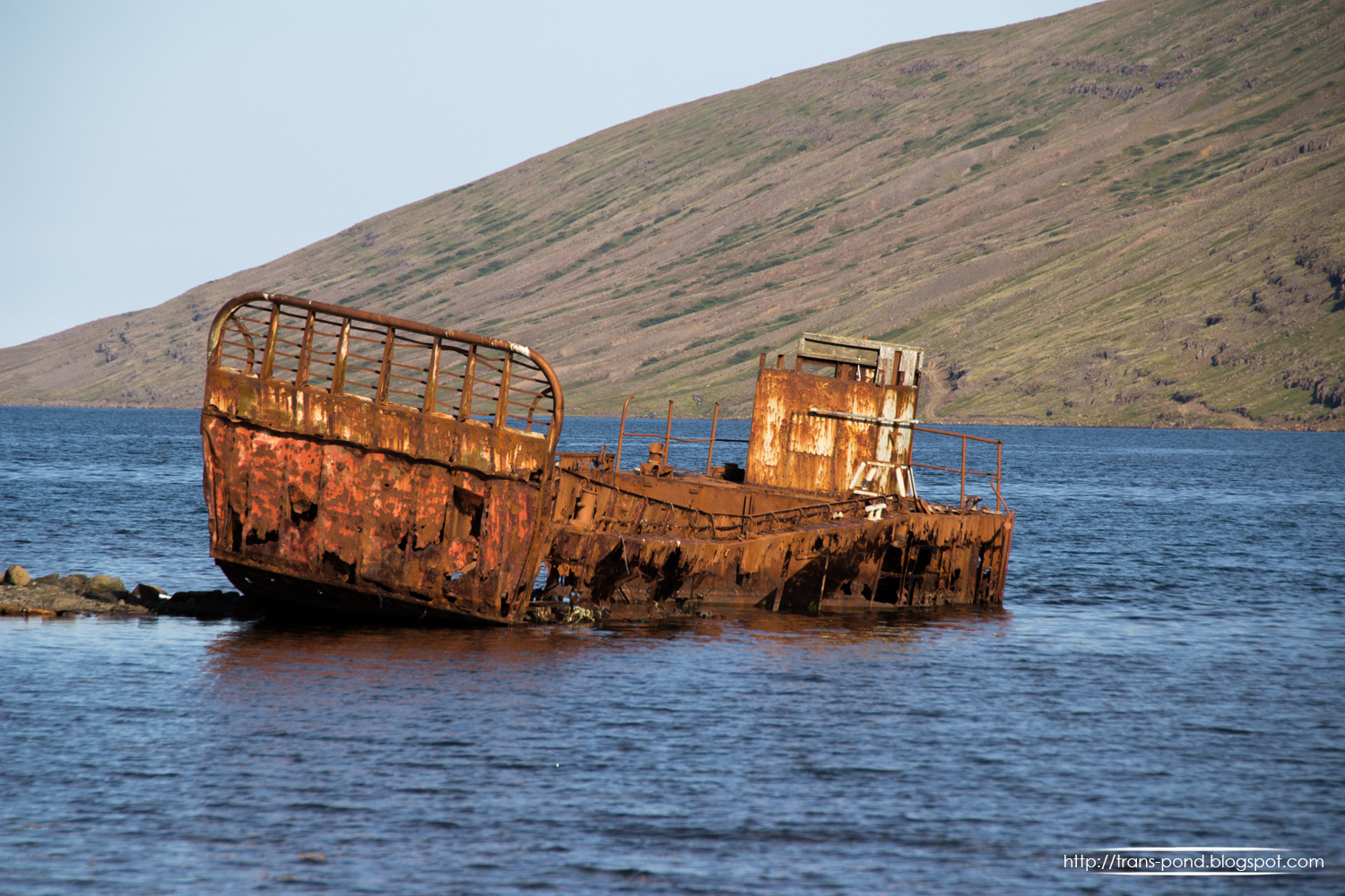 Crazy In Alabama November 2010