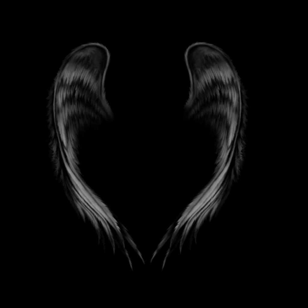 HQ Wallpapers: Angel Wings Wallpapers