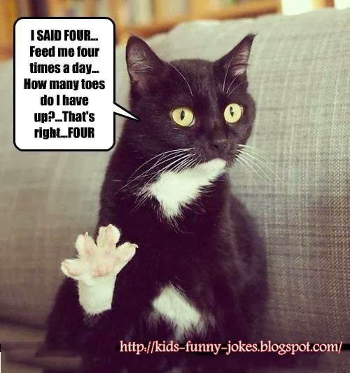Funny Life Quotes Funny Kids Cat Jokes
