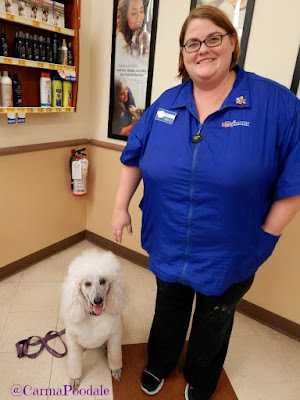 PetSmart Groomers with Carma Poodale