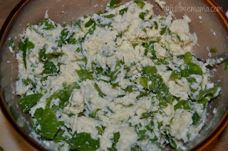 spinach and cheese