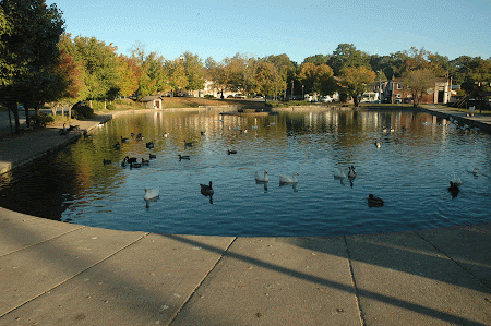 11. Fountain City Duck Pond.