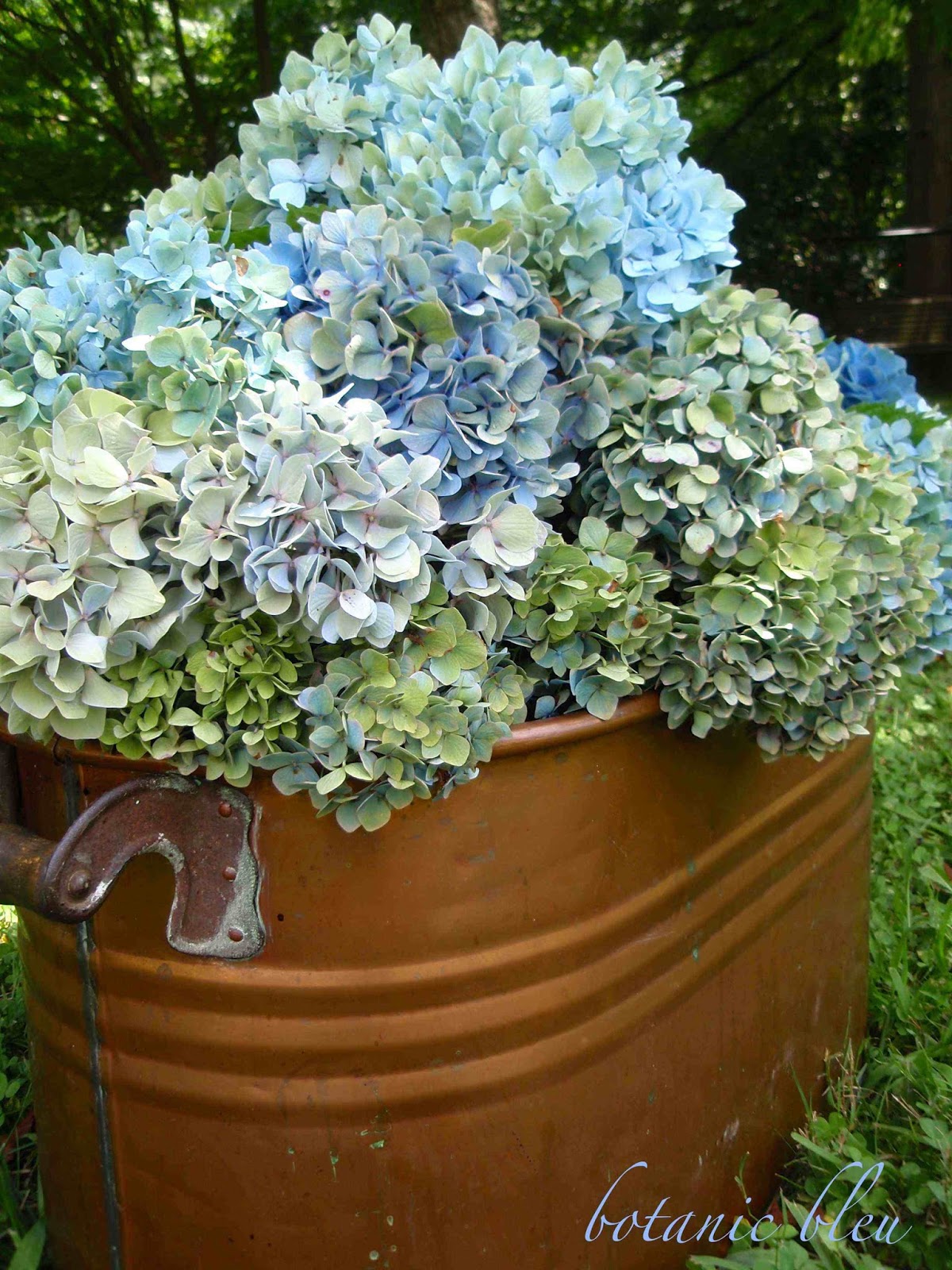 Botanic Bleu Hydrangeas Filled Copper Pot