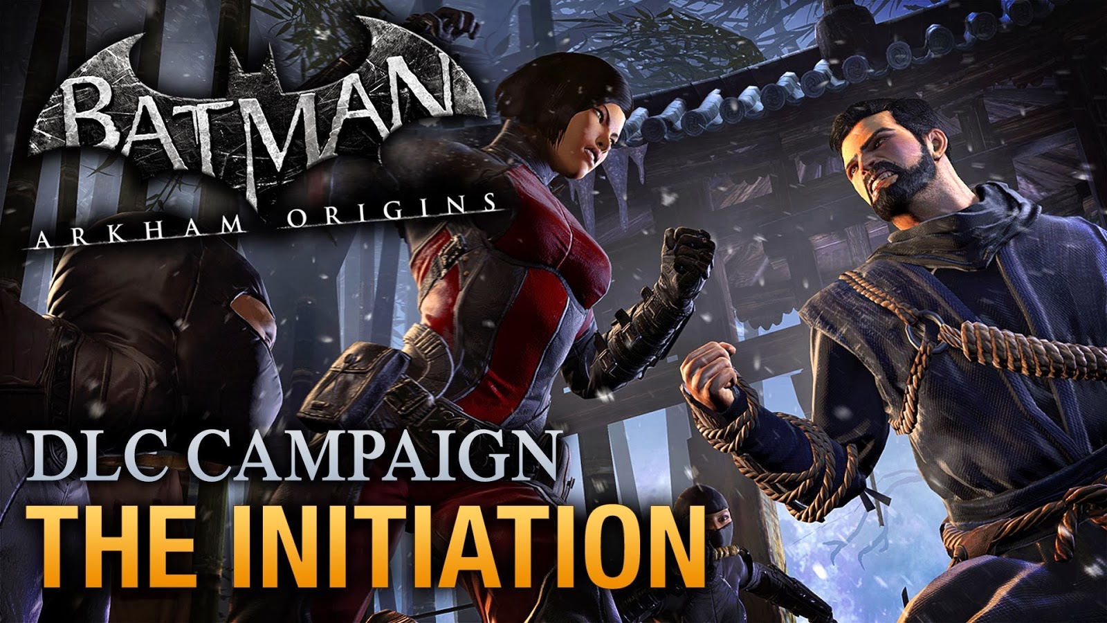 Batman: Arkham Origins - Initiation Box Shot for PC - GameFAQs