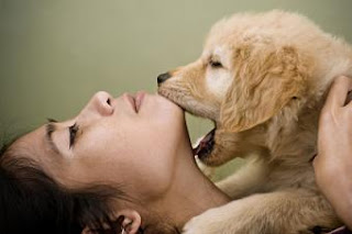 How To Stop Puppy Biting Problem How To Stop Puppy Biting Problem