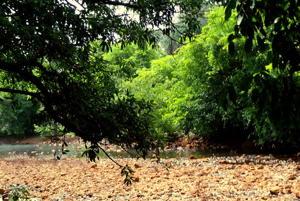 river bed bhandardara