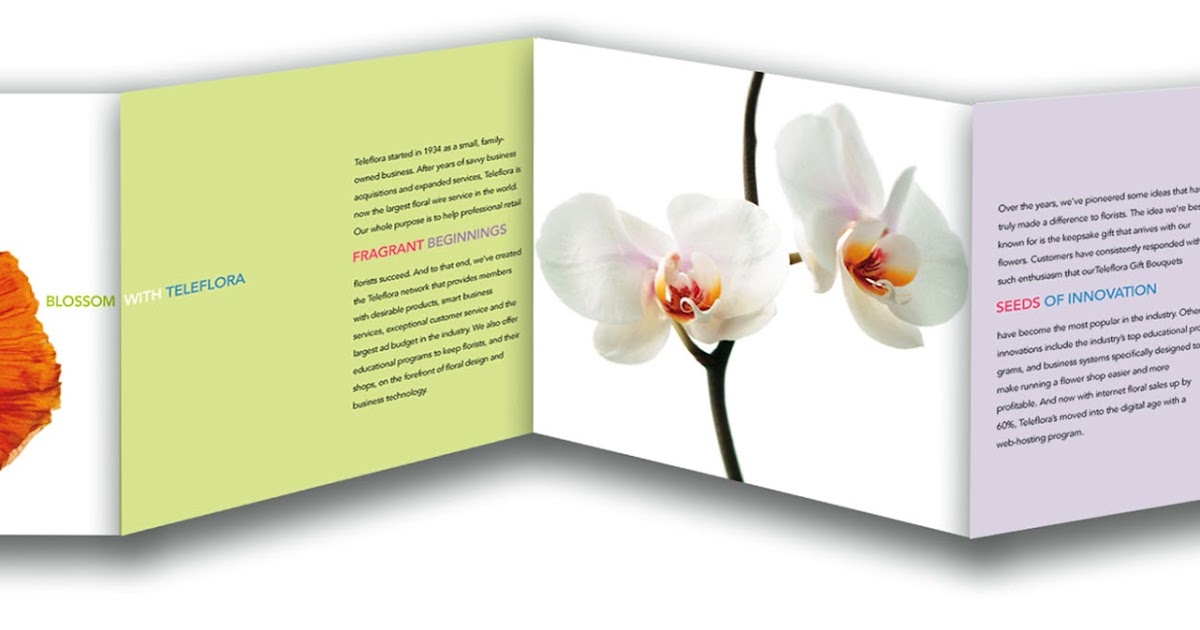 Comm Graphics project 4 and Good/Bad brochures