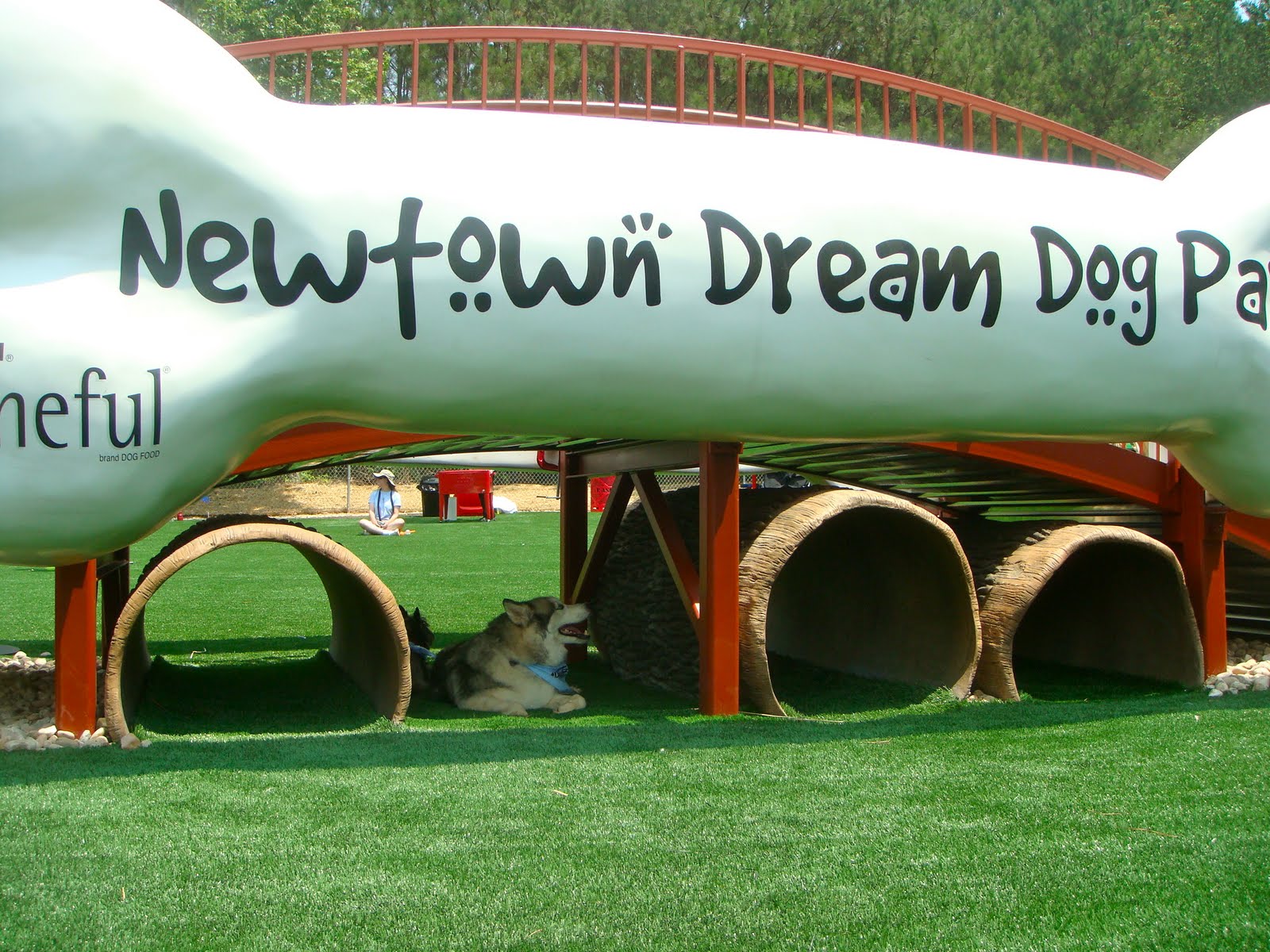 To Dog With Love Beneful Dream Dog Park Opening Day!