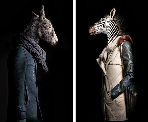 11-Donkey and Zebra-Miguel-Vallinas-Segundas-Pieles-Second-Skins-Smartly-Dressed-Animals-www-designstack-co