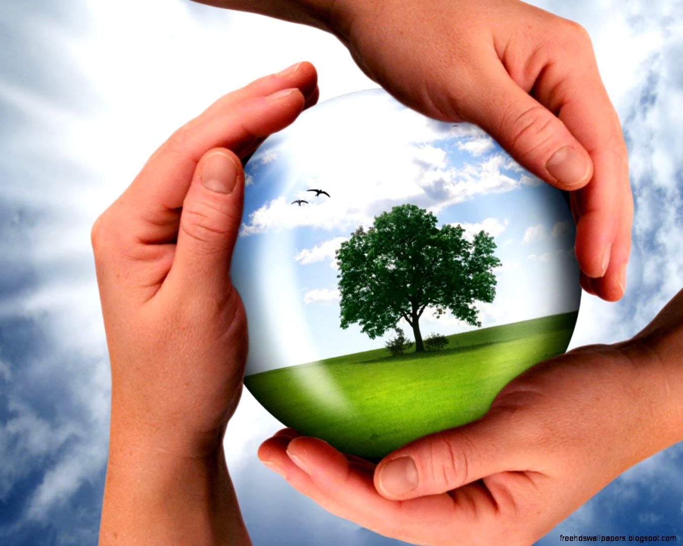 3D Mother Nature Wallpaper  HD 3D and Abstract Wallpapers for