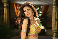 Hot, meenakshi, navel, and, cleavage, show