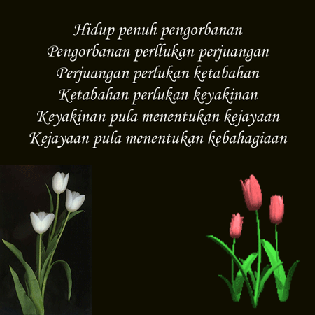 Puan Bahagia