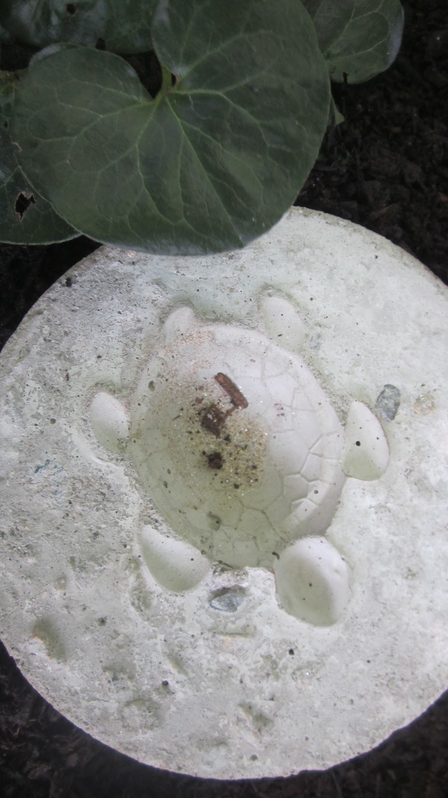 A Riverside Garden Makeover from nothing to native paradise in one