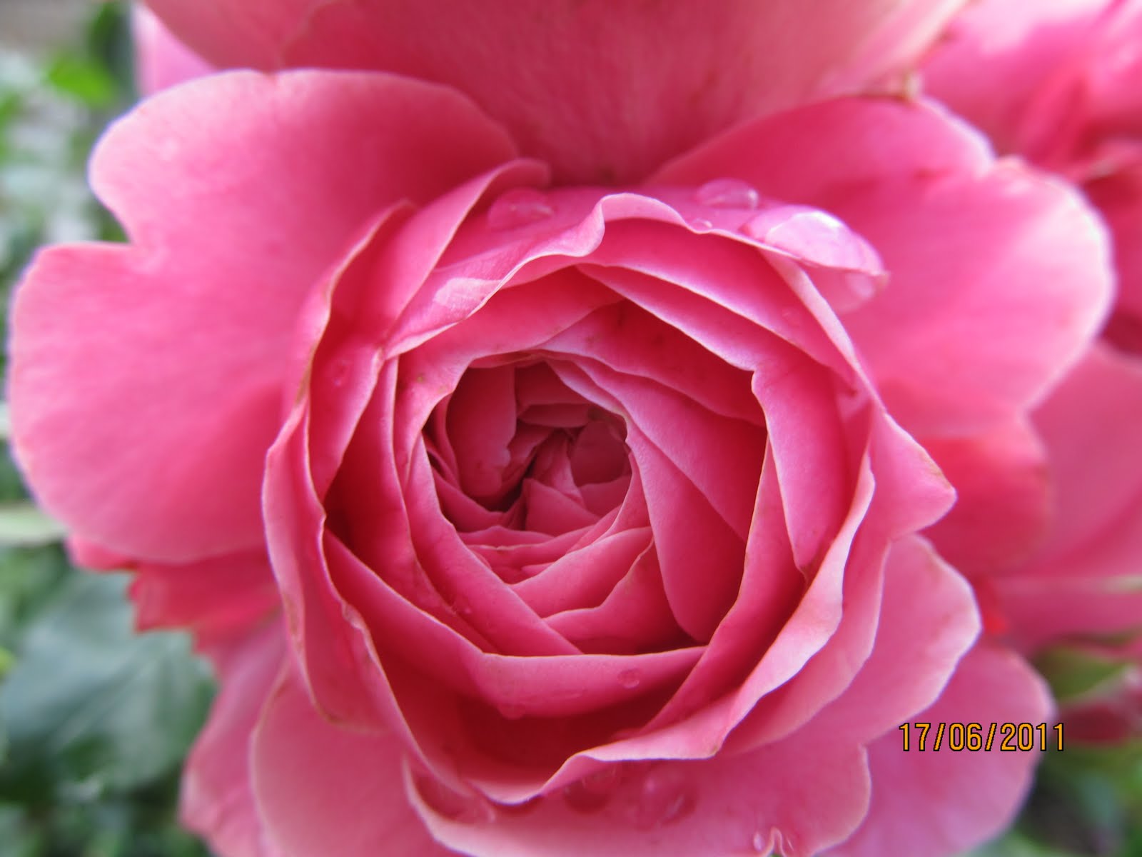 Sabine Tscheschlock Tscheschlock Auf Pinterest