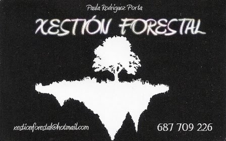 XESTION FORESTAL