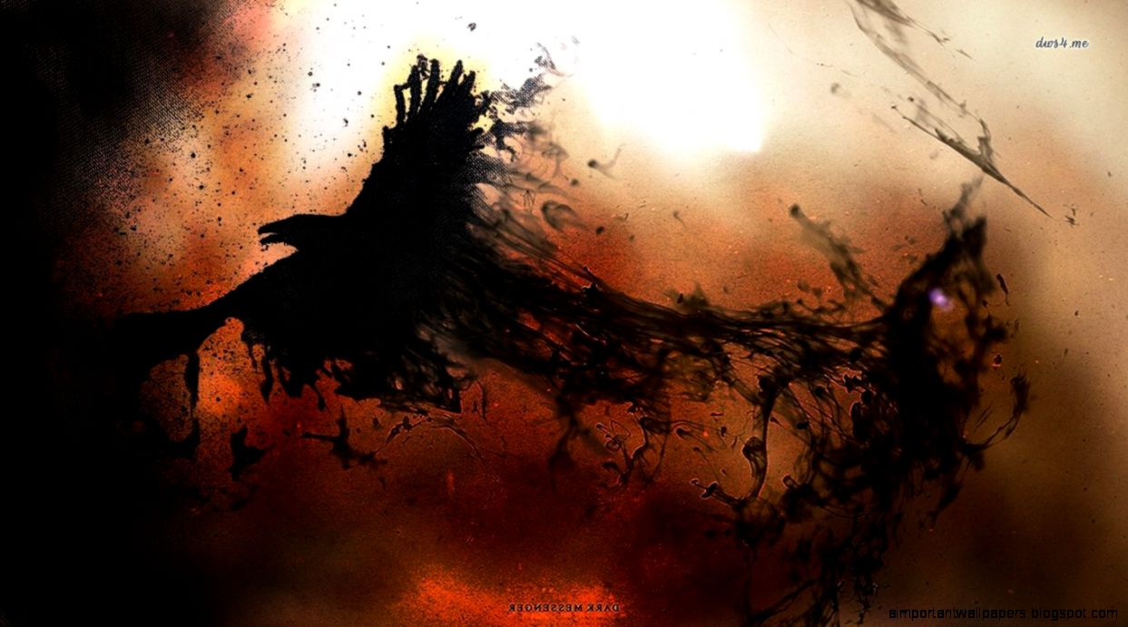 30 Raven HD Wallpapers Backgrounds Wallpaper Abyss 30 Raven HD Wallpapers Backgrounds Wallpaper Abyss