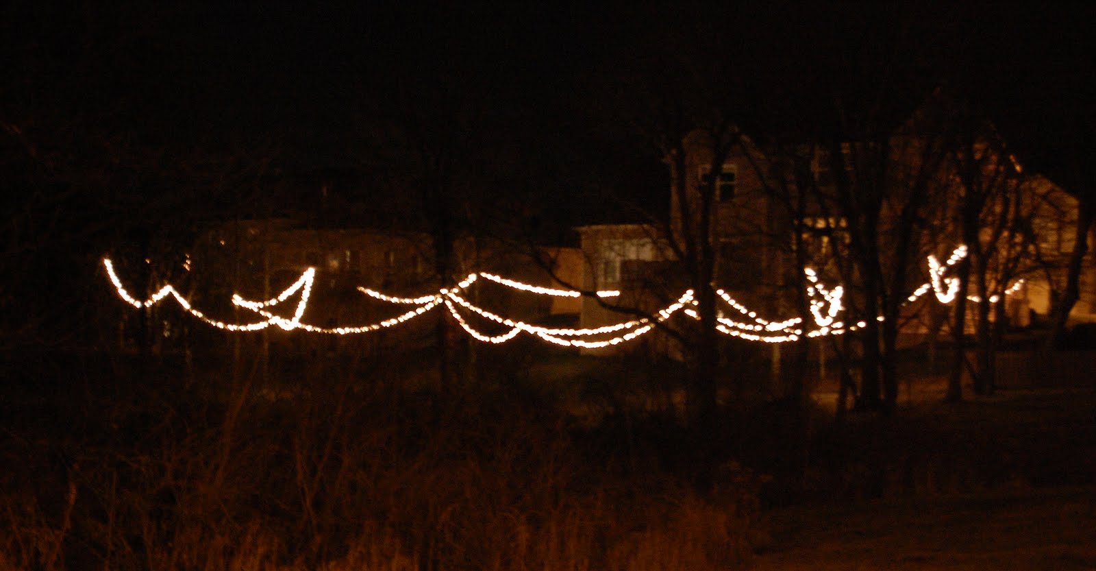 Livin' the Dream: December 2011