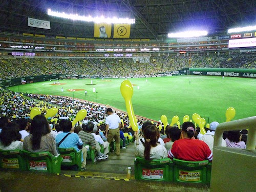 P1020449.jpg