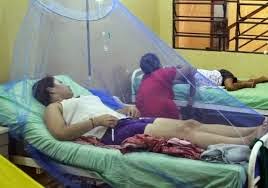 Infectado con el virus Chikungunya Chikungunya-Virus-Medidas-Preventivas