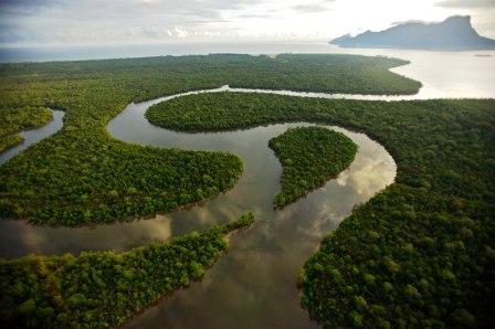 Sarawak Beauty