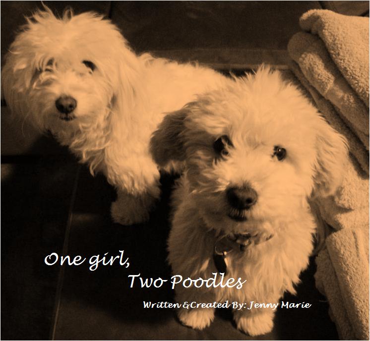 One Girl, Two Poodles