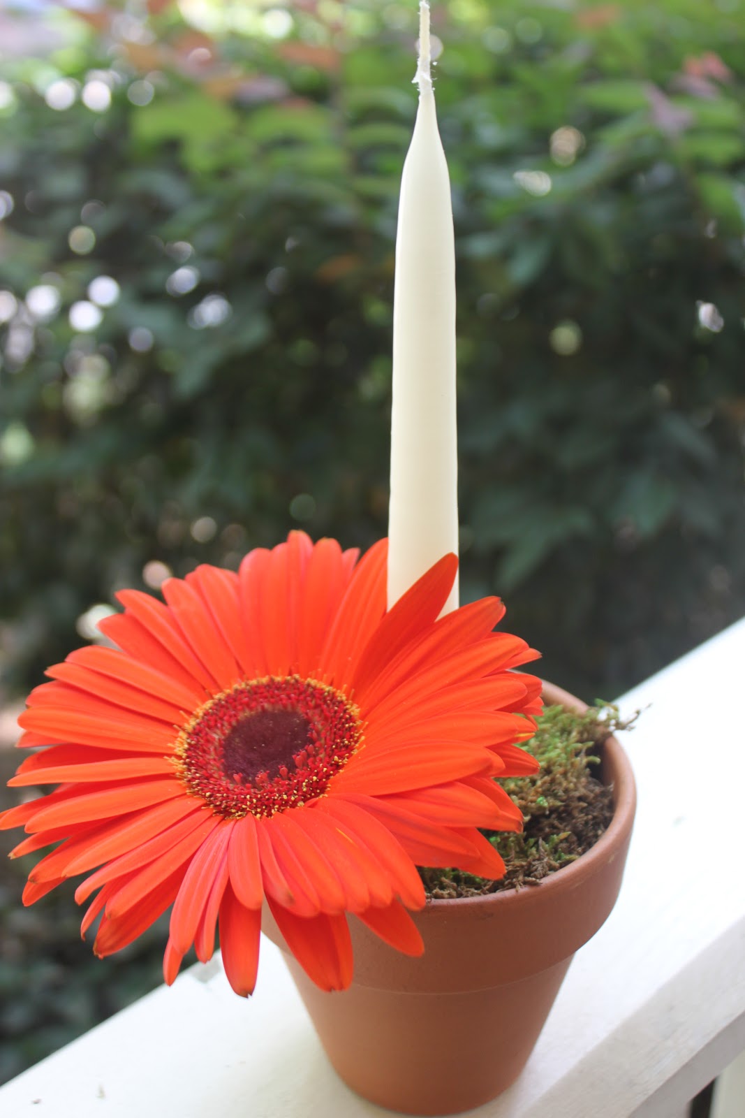 Sake Mom Candle Flower Pot Centerpiece