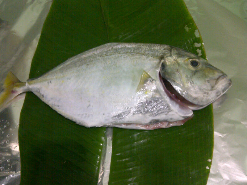 Moh Masak iKan CeRmiN BaKar