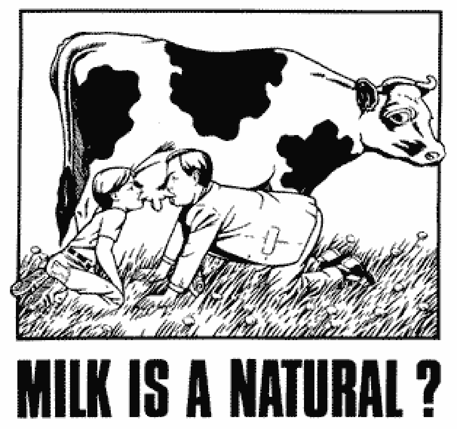 Is Cow's Milk Necessary For Toddlers? 