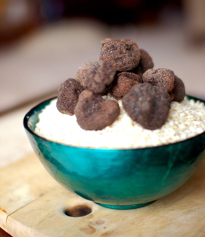 5 Fun Facts about Truffles