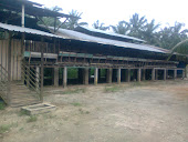 ladang janggutternak