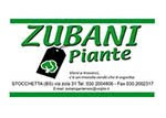 Zubani Piante