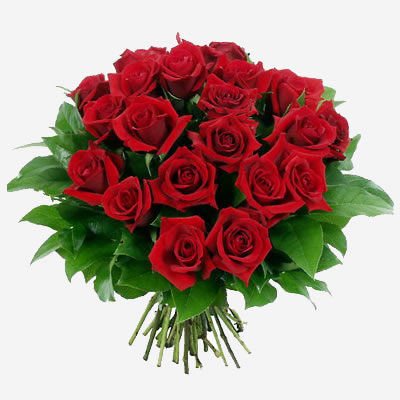 http://3.bp.blogspot.com/-B64kbXpJFTk/TuZCuipvNcI/AAAAAAAAA1w/e29JlKza03s/s1600/bouquet-rose-rosse.jpg
