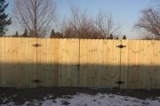 fence