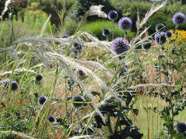 Perennial grasses, perfect partnerships