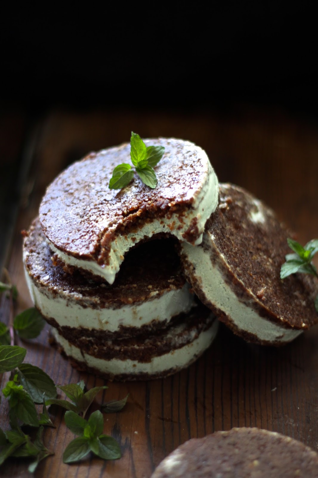 whataboutlifestyle MINT CHOCOLATE CHIP ICE CREAM SANDWICHES