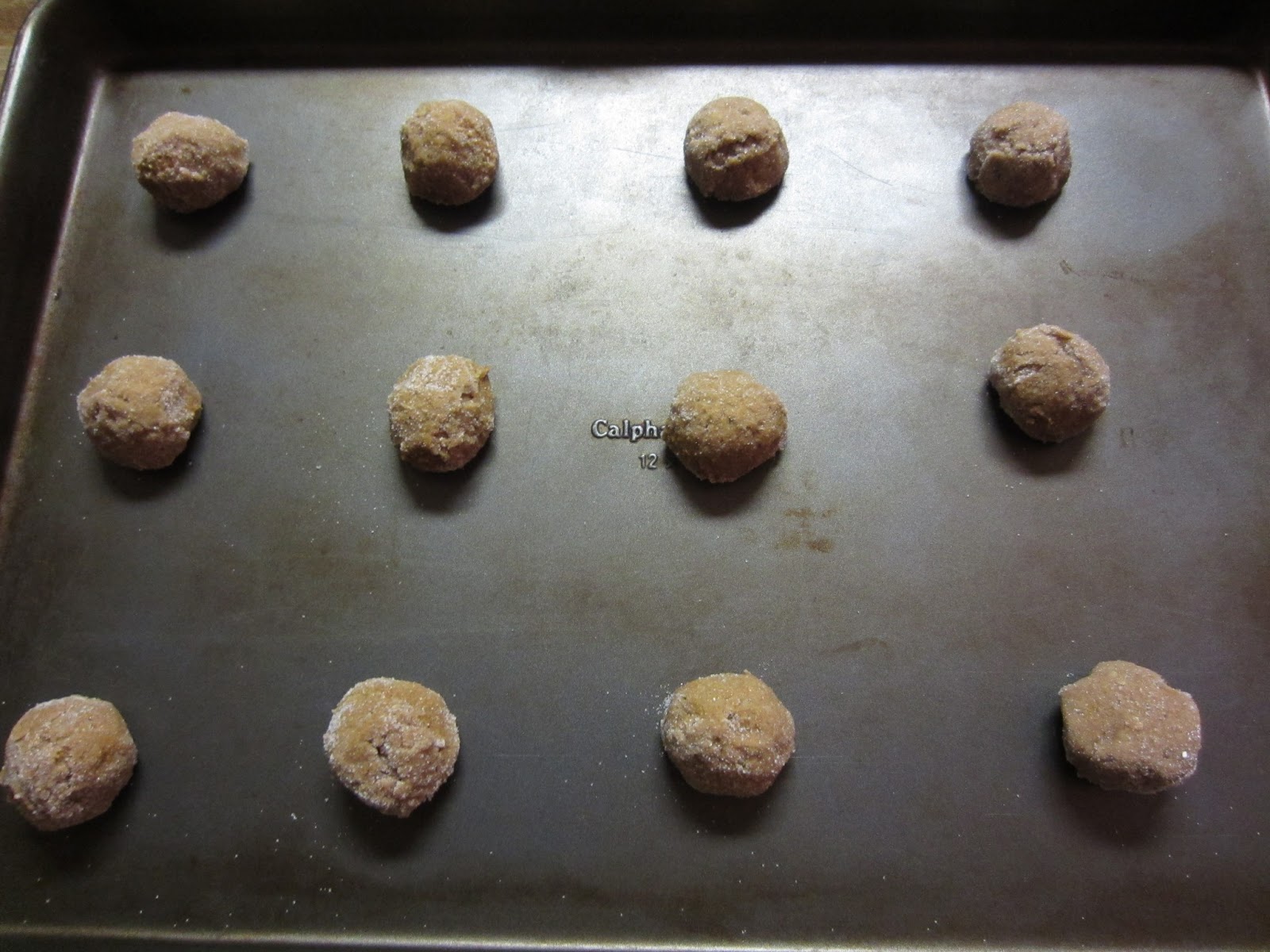 My Patchwork Quilt ROBERT E. LEE'S GINGERSNAPS